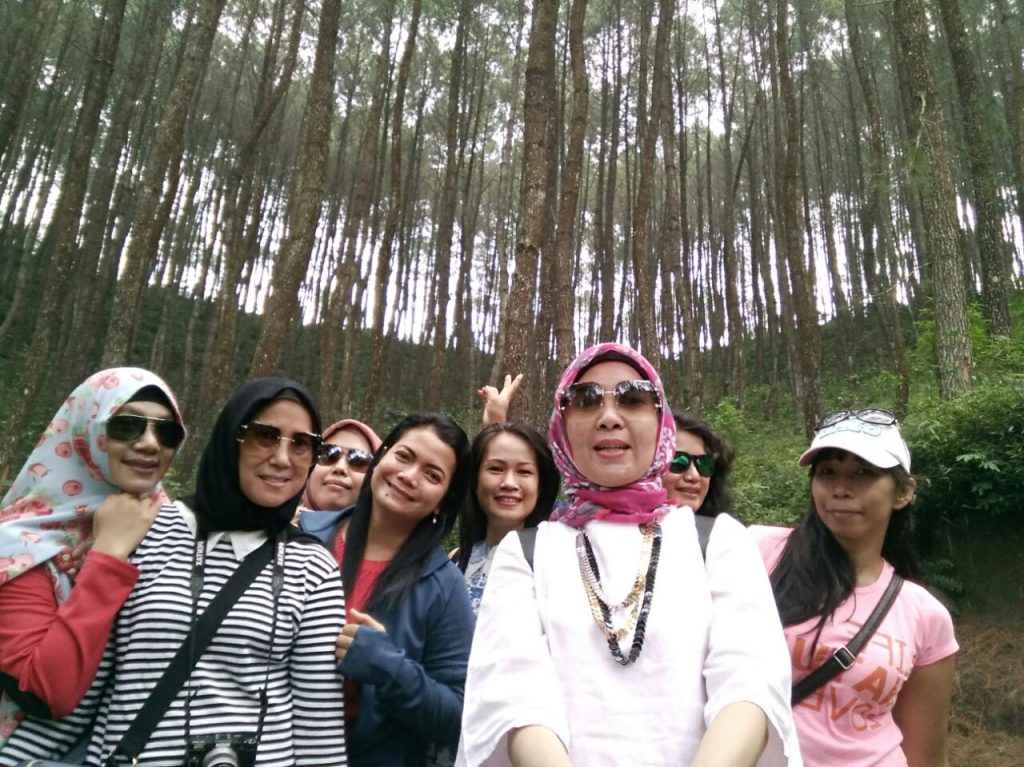 Hutan pinus Garut, destinasi wisata alam bikin ogah pulang 2