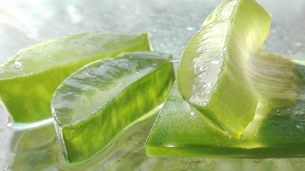 Manfaat Aloe Vera Untuk Kulit Wajah