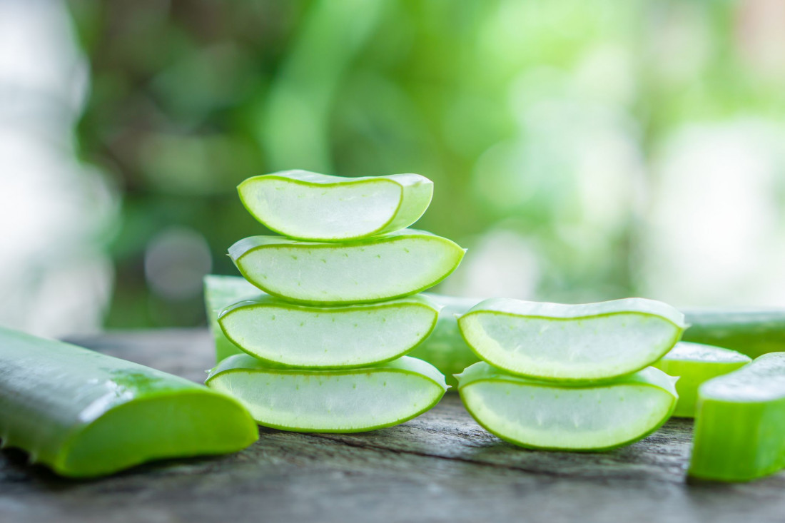 Manfaat Aloe Vera Gel Untuk Kecantikan